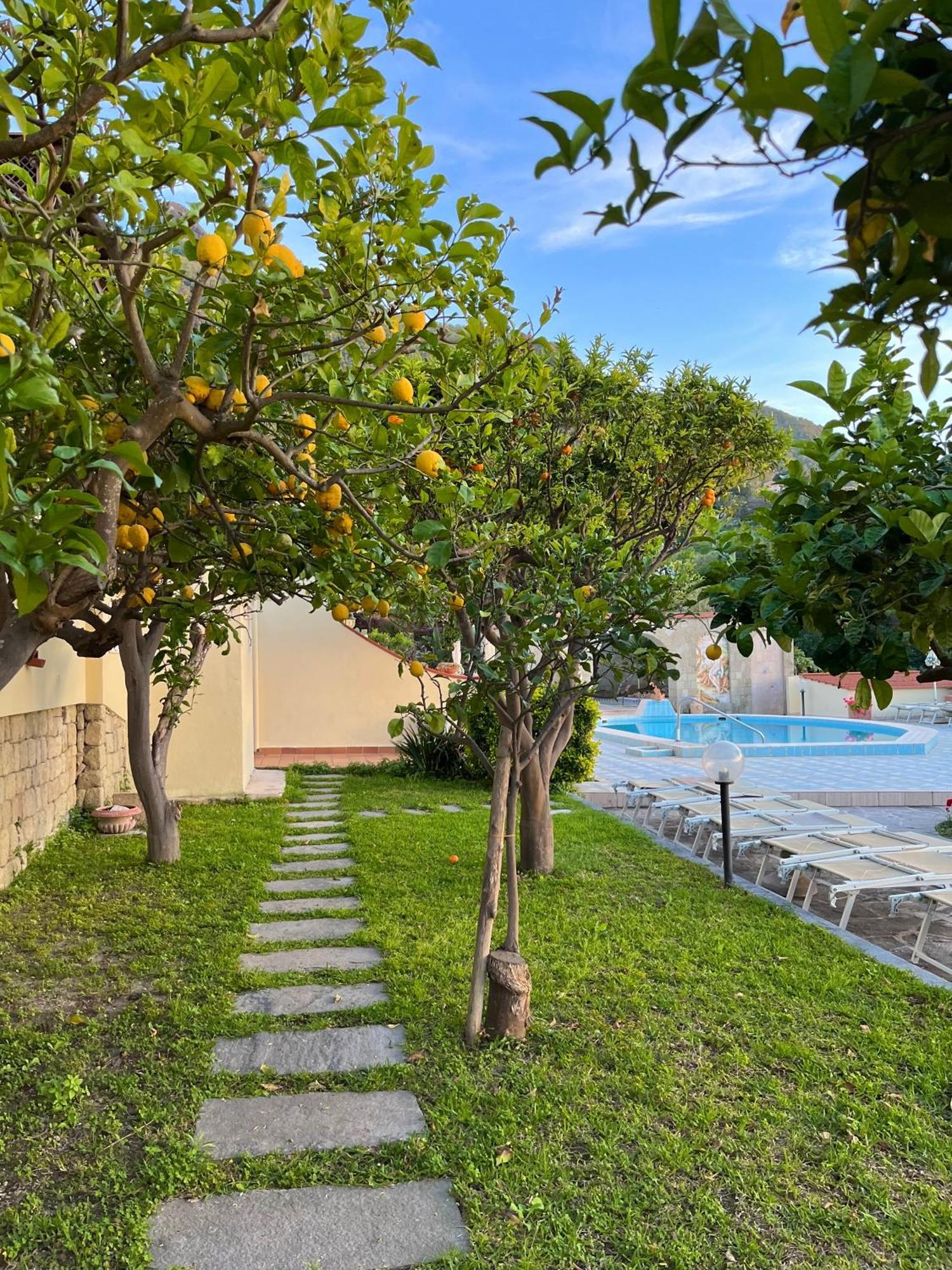 Resort Villa Flavio Casamicciola Terme Kültér fotó