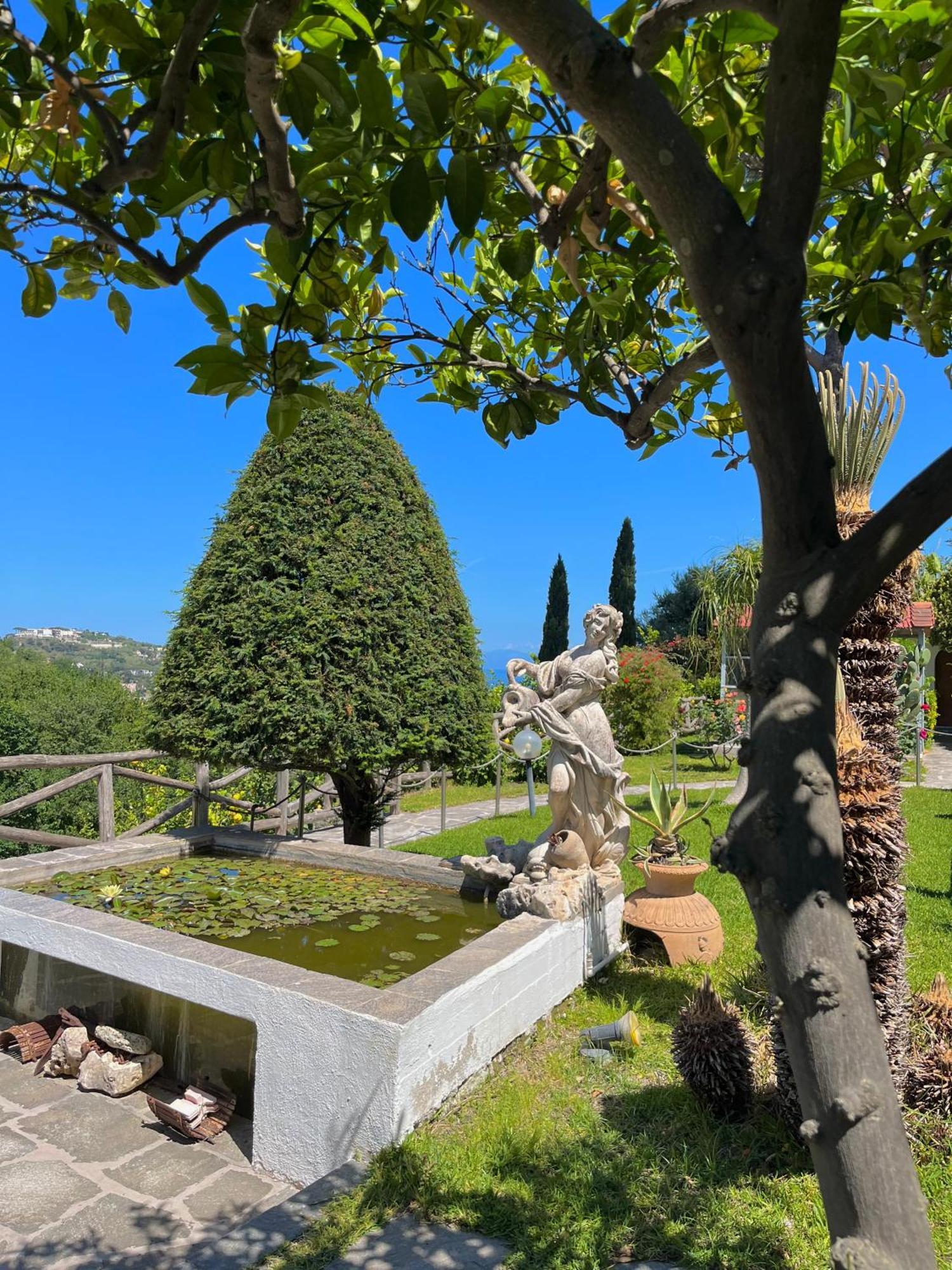 Resort Villa Flavio Casamicciola Terme Kültér fotó