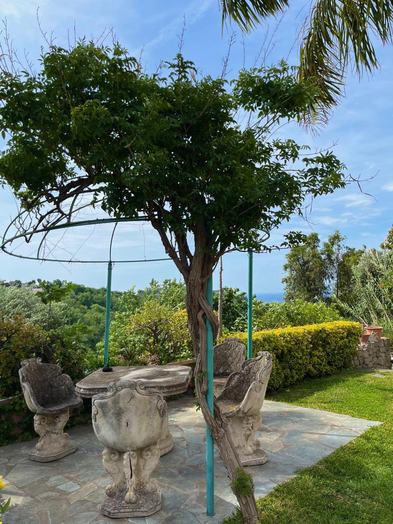 Resort Villa Flavio Casamicciola Terme Kültér fotó