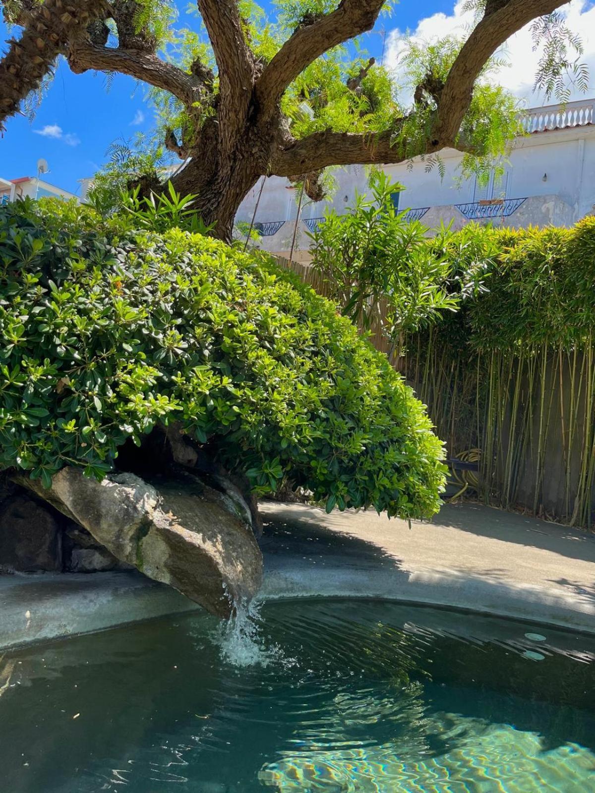 Resort Villa Flavio Casamicciola Terme Kültér fotó