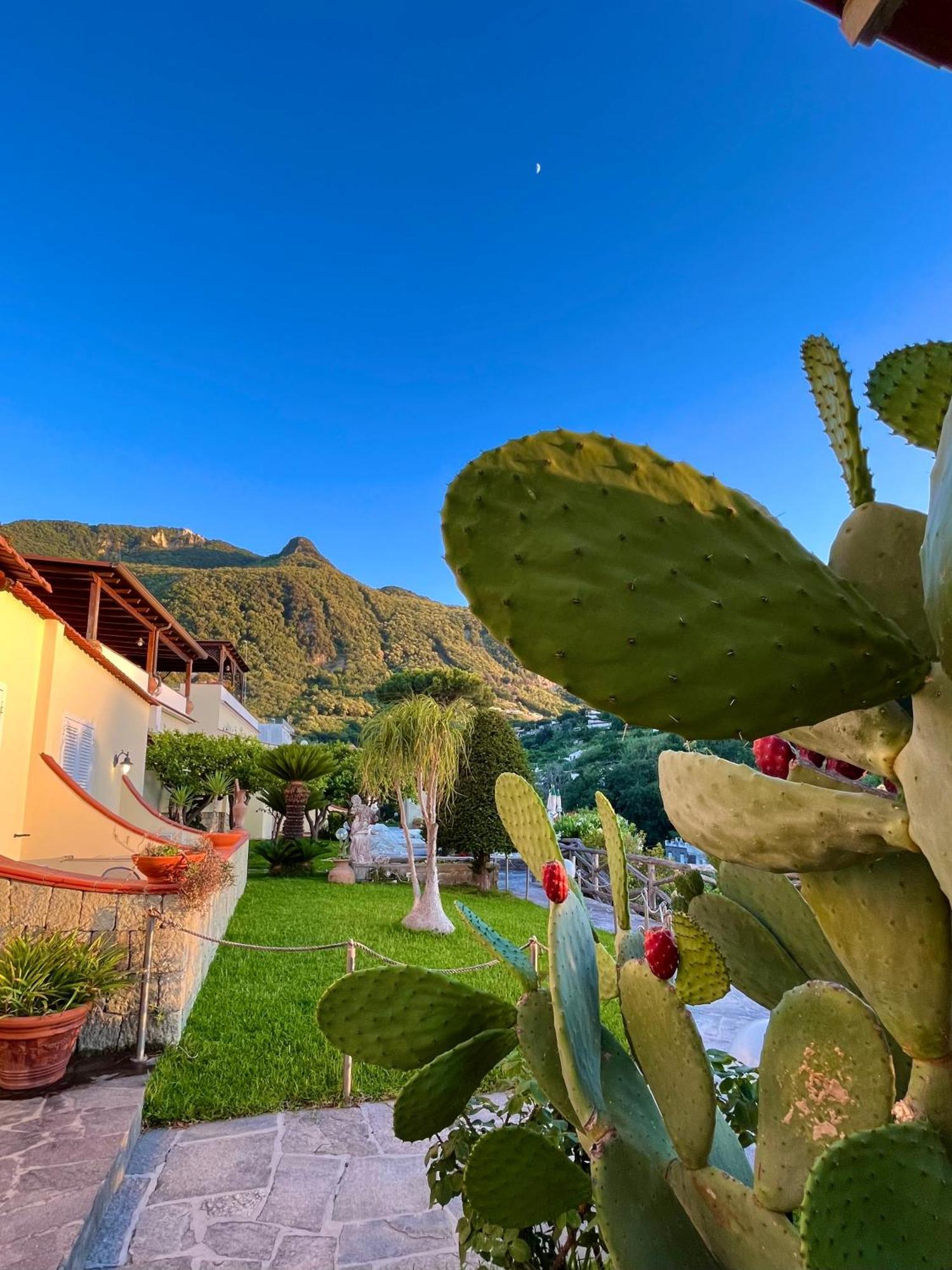 Resort Villa Flavio Casamicciola Terme Kültér fotó