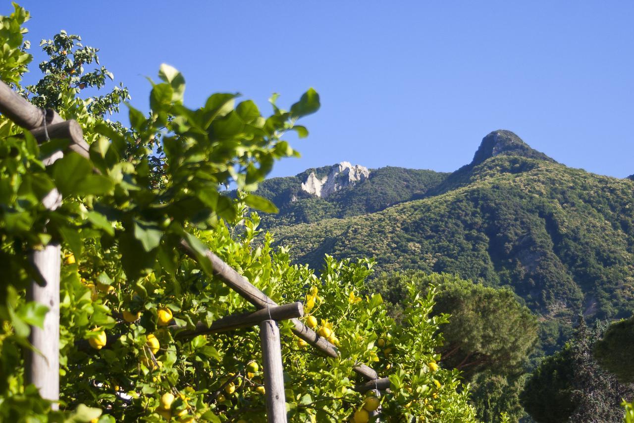 Resort Villa Flavio Casamicciola Terme Kültér fotó