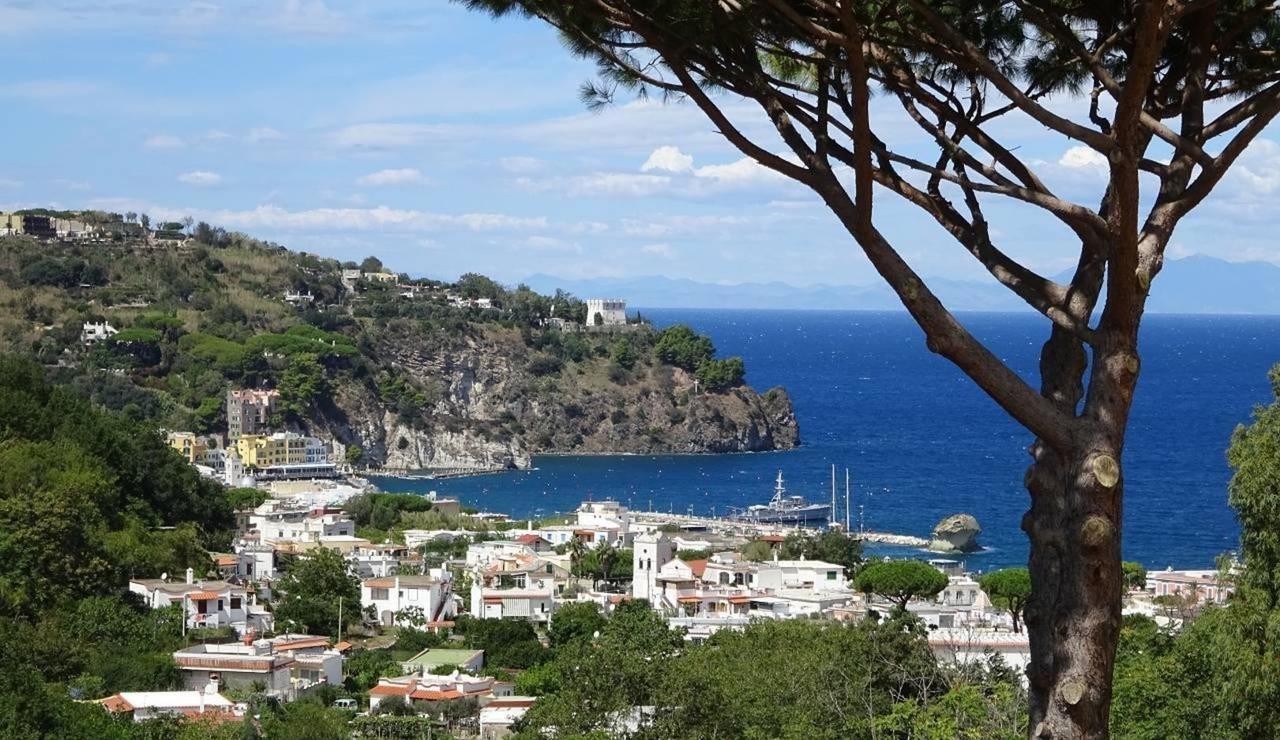 Resort Villa Flavio Casamicciola Terme Kültér fotó